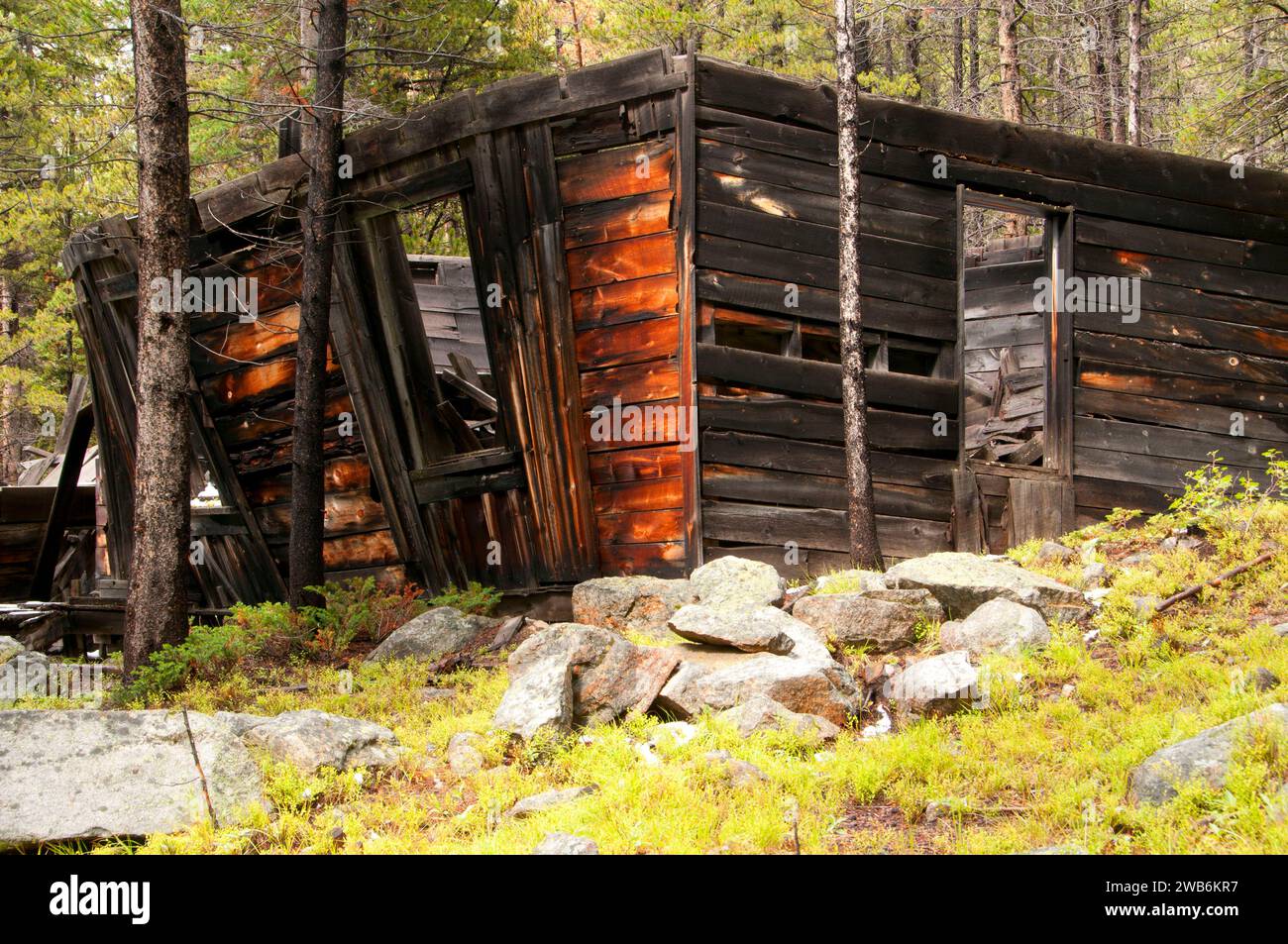 Coolidge città fantasma, Beaverhead-Deerlodge National Forest, Montana Foto Stock