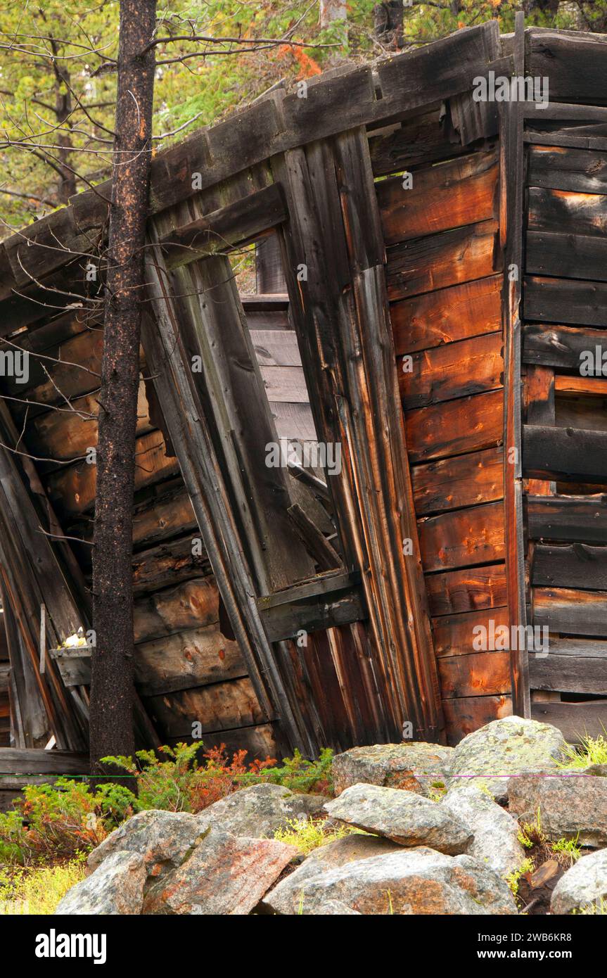 Coolidge città fantasma, Beaverhead-Deerlodge National Forest, Montana Foto Stock