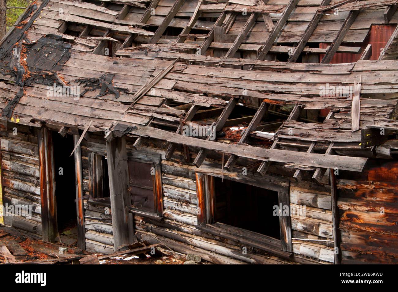 Coolidge città fantasma, Beaverhead-Deerlodge National Forest, Montana Foto Stock