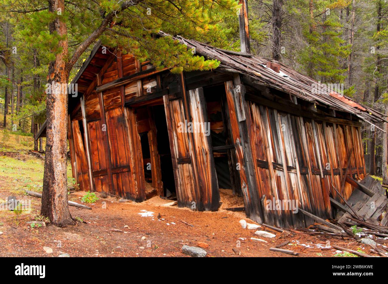 Coolidge città fantasma, Beaverhead-Deerlodge National Forest, Montana Foto Stock