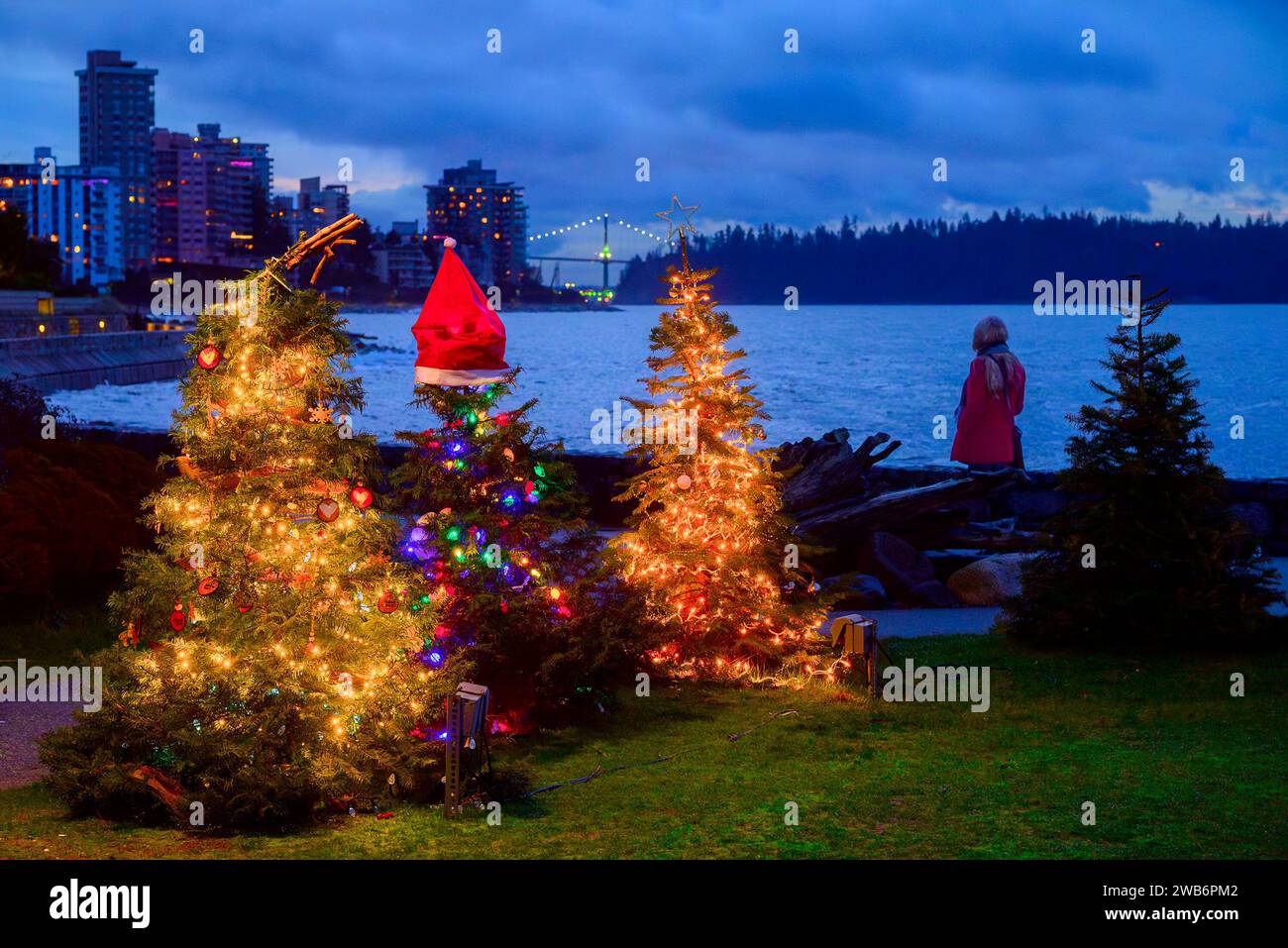 Christmas Trees, Dundarave, Festival of Lights, West Vancouver, British Columbia, Canada Foto Stock