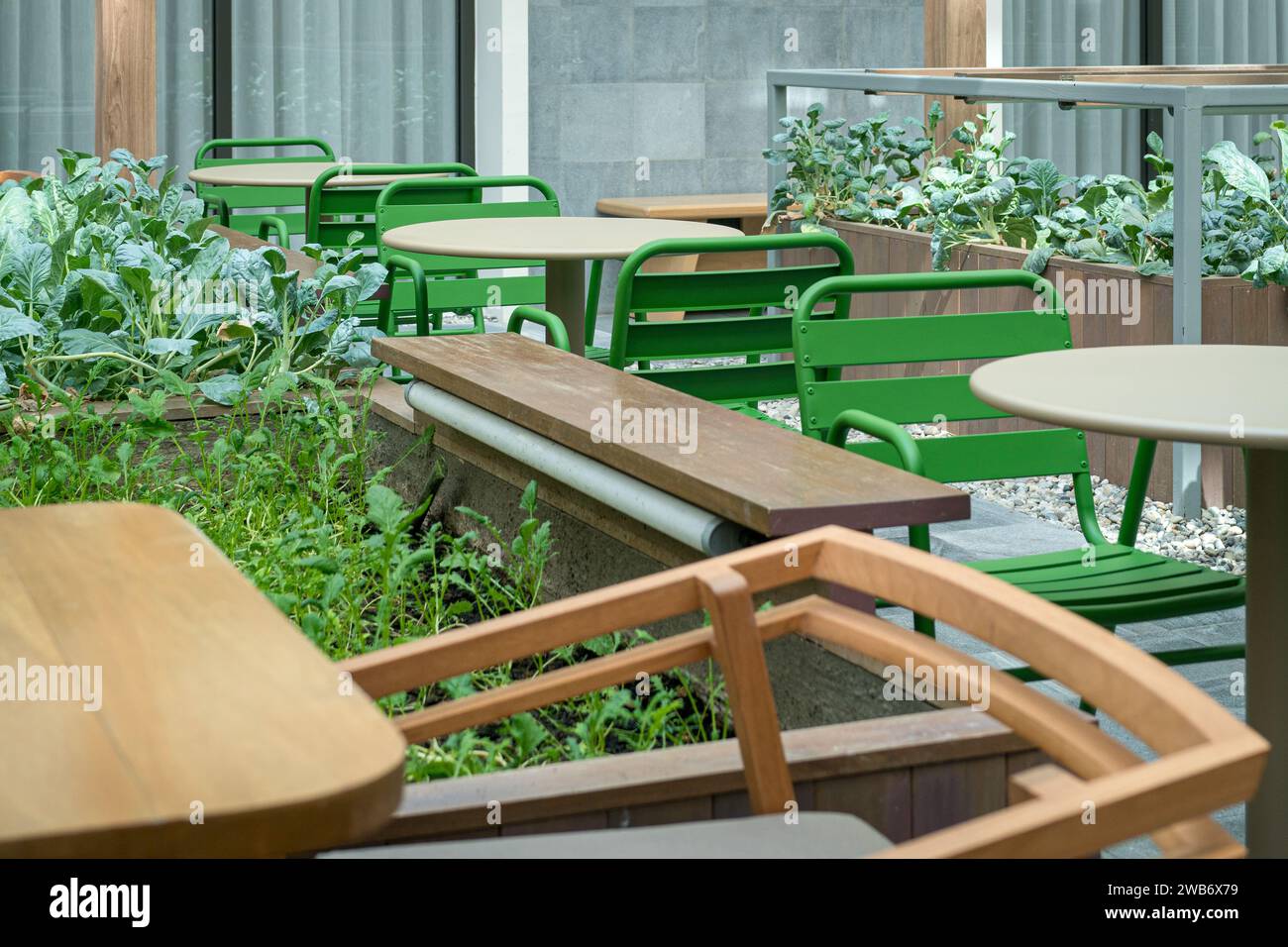 Caffè all'aperto, tavoli vuoti e sedie con piante verdi. Foto Stock