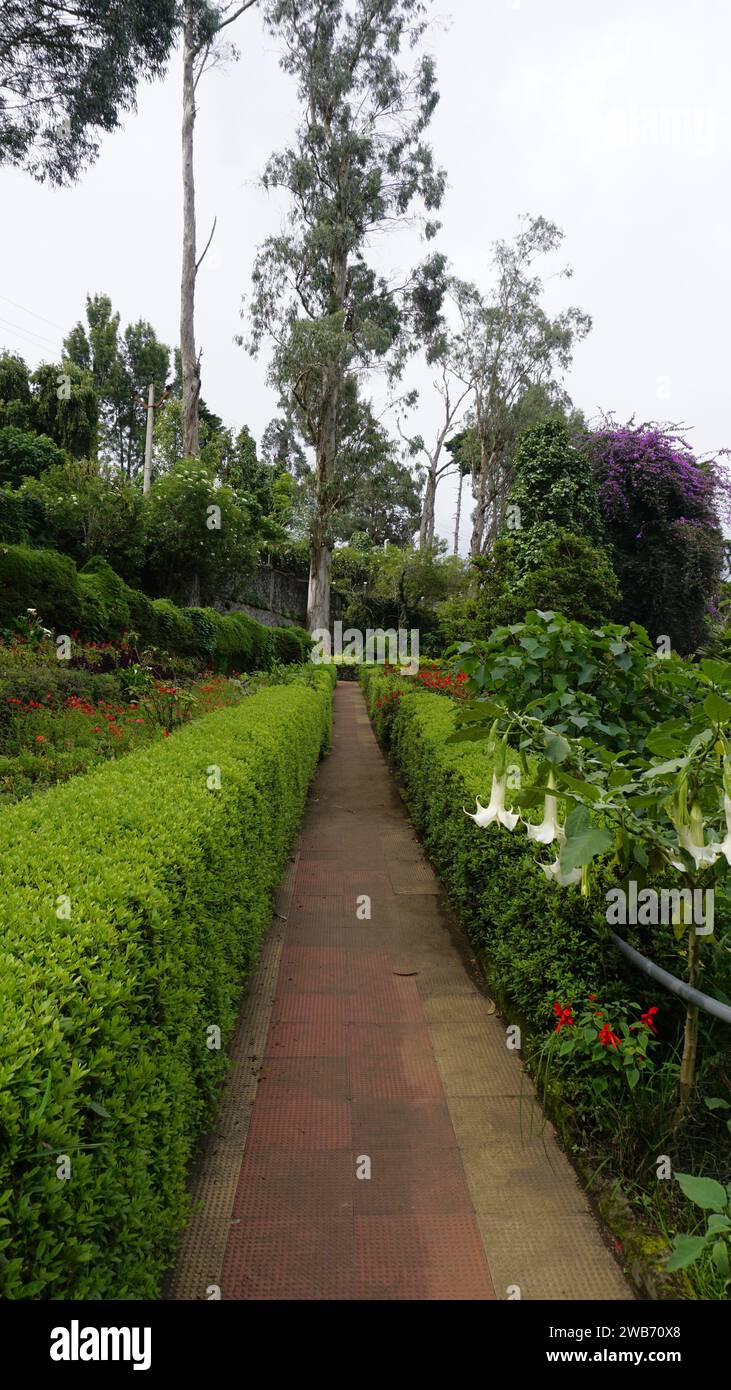 Splendido giardino panoramico del parco Chettiar, Kodaikanal. Completamente coperto da una vegetazione lussureggiante e da squisite vedute panoramiche ovunque. Foto Stock