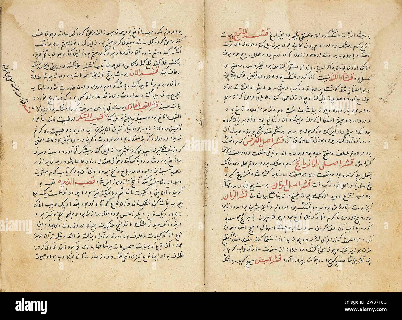 "Ali bin al-Husayn al-Ansar, noto come Haji Zayn al-'Attar (d. 1403-04); Ikhtiyarat Badi'i firmato 'Ali bin Husayn bin Ibrahim, Timuride Iran, datato 30 novembre 1496. Foto Stock