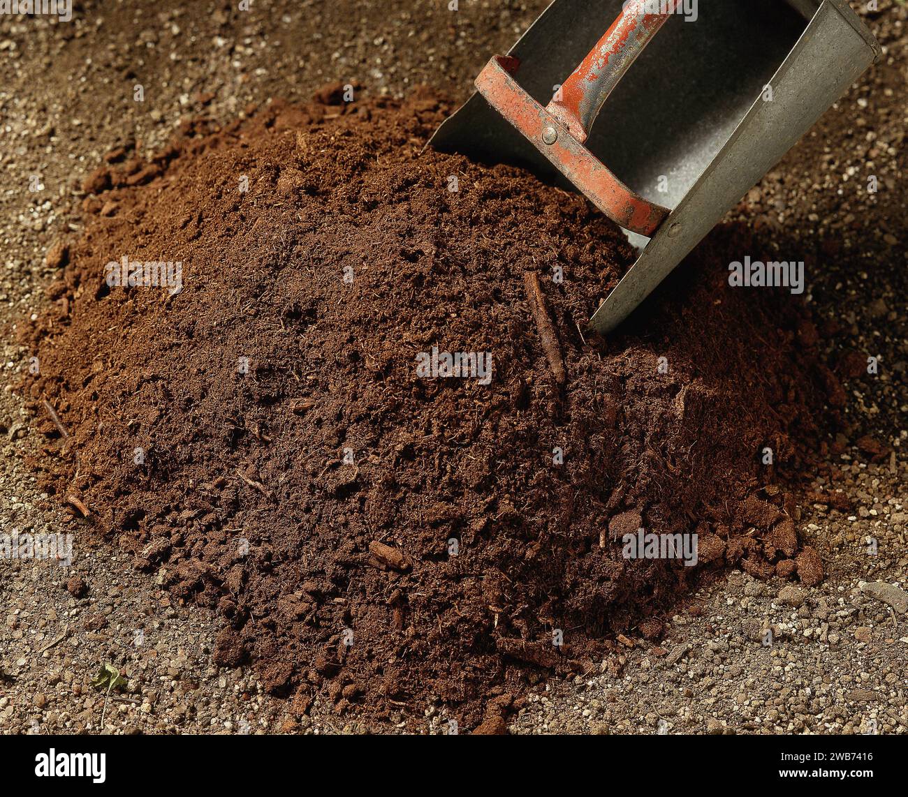 Il muschio di torba è un emendamento del suolo che è un materiale fibroso marrone scuro utilizzato come mezzo di piantagione per la coltivazione delle piante. Foto Stock
