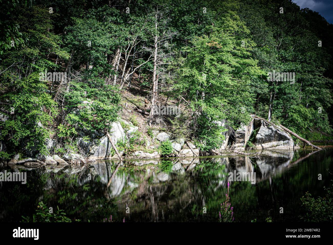 Paesaggio di una zona tranquilla ricoperta di alberi e che si riflette in acqua dolce Foto Stock