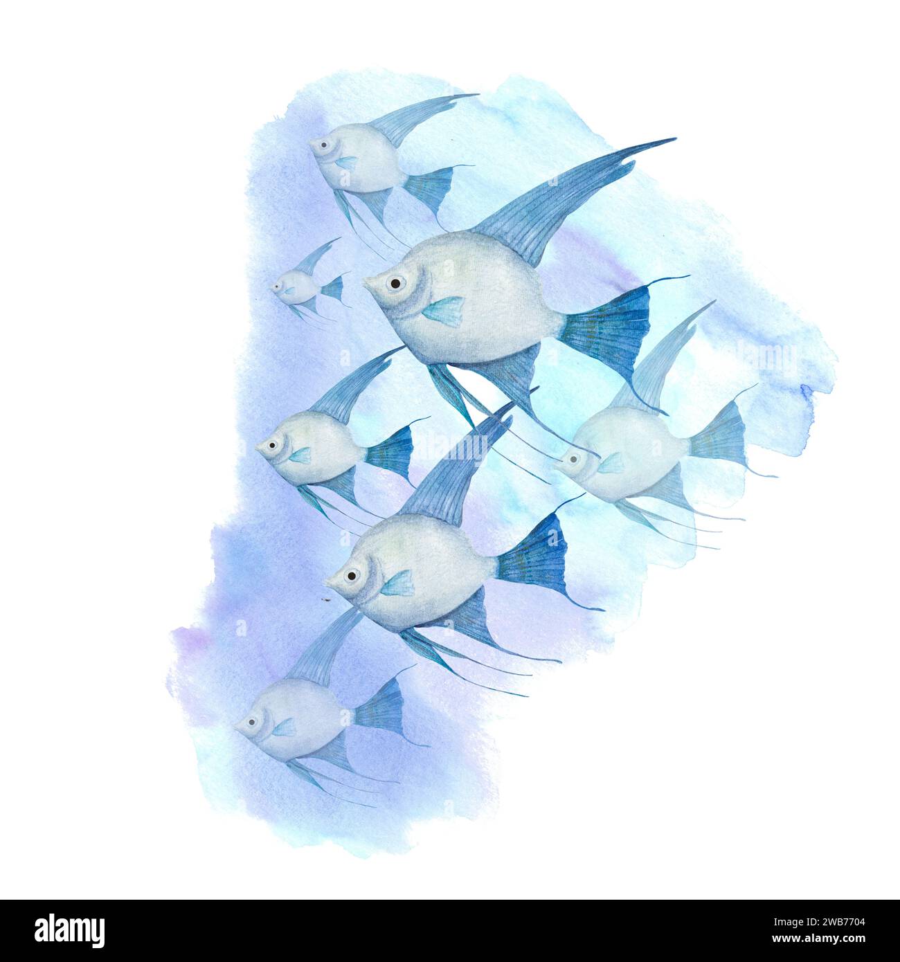 Scuola di nuoto di pesce angelo blu in mare. Acqua, oceano, pesce. Illustrazione acquerello isolata su bianco. Per poster, etichette, adesivi, biglietti d'auguri Foto Stock