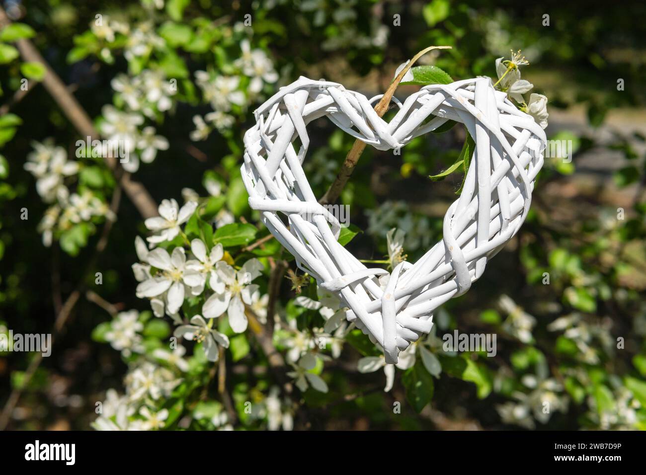 Cuore di vimini lavorato a mano con un felice desiderio per la festa della mamma. Foto Stock