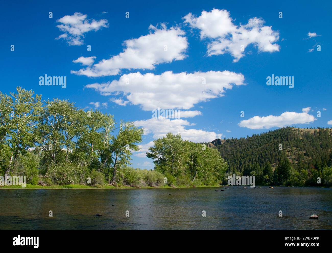 Big Hole River, divide Bridge Recreation area, Butte Field Office Bureau of Land Management, Montana Foto Stock