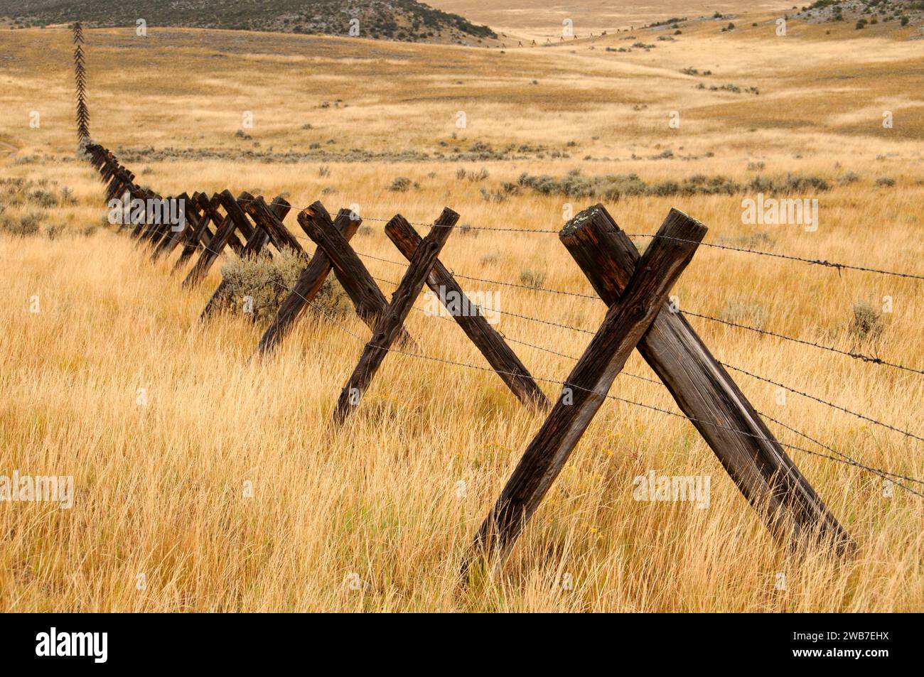 Recinzione del bestiame a ovest di Twin Bridges, Dillon Field Office Bureau of Land Management, Montana Foto Stock