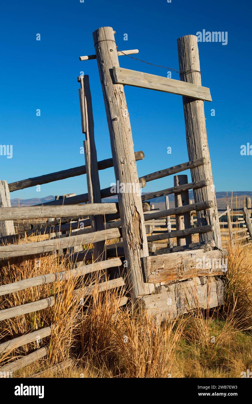 Corral shoot, Red Rock Lakes National Wildlife Refuge, Montana Foto Stock