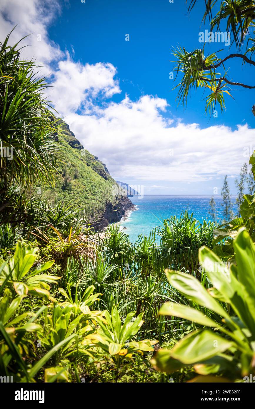 Kauai Hawaii Foto Stock