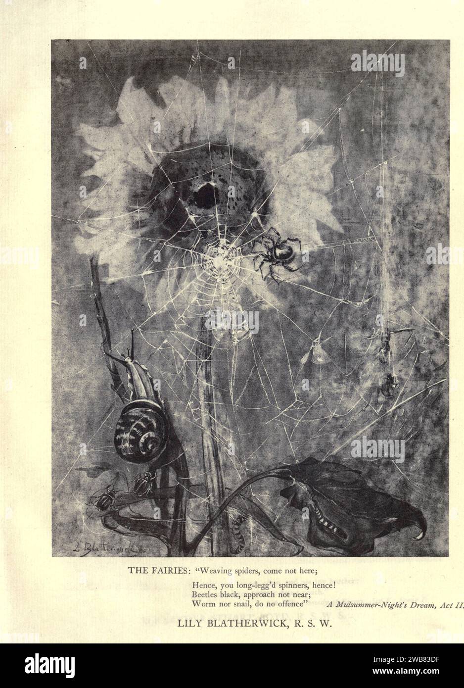 Le fate. Tessendo ragni, non venite qui; quindi, voi spinners Long-legg'd, quindi! Scarabei neri, non avvicinarsi; verme né lumaca, non offendere. Midsummer-Night's Dream, atto II SC. II LILY BLATHERWICK, R.S.W. (Mrs. A. S. Hartrick) A Tribute to the Genius of William Shakespeare; essere il programma di una rappresentazione al Drury Lane Theatre il 2 maggio 1916, il tercentenario della sua morte; umilmente offerto dai giocatori e dai loro colleghi nelle arti affini della musica e della pittura MACMILLAN AND CO., LIMITED ST. MARTIN'S STREET, LONDRA 1916 Foto Stock