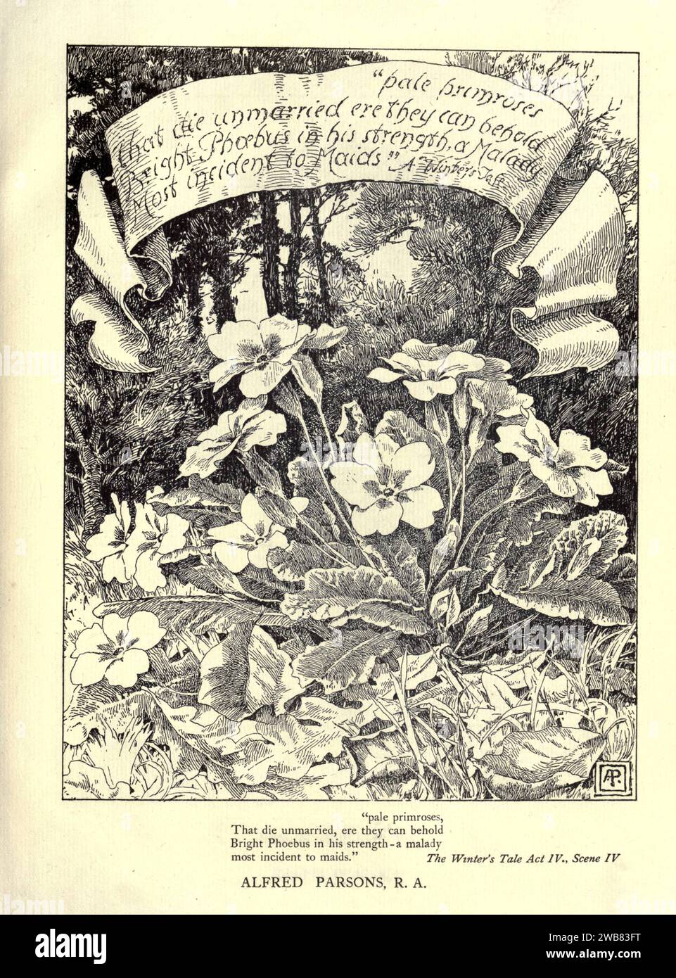 Primrose pallide, che muoiono celibe, e possono vedere Bright Phrebus nella sua forza - un incidente maldestro più grave per le cameriere. The Winters tale, atto iv. SC. iv. Di ALFRED PARSONS da Un tributo al genio di William Shakespeare; essere il programma di una rappresentazione al Drury Lane Theatre il 2 maggio 1916, il tercentenario della sua morte; umilmente offerto dai giocatori e dai loro colleghi nelle arti affini della musica e della pittura MACMILLAN AND CO., LIMITED ST. MARTIN'S STREET, LONDRA 1916 Foto Stock