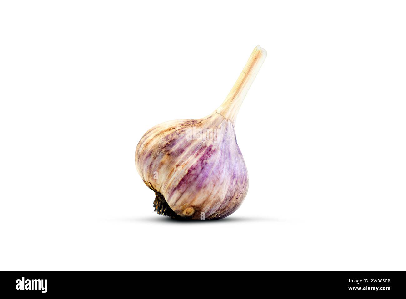 Aglio isolato su sfondo bianco, Foto Stock