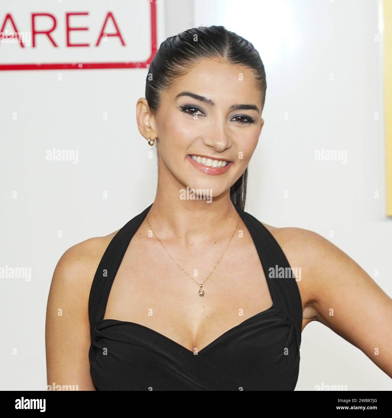 New York, Stati Uniti. 8 gennaio 2024. Jordynn Lurie parteciperà alla prima mondiale di ''Lift'' di Netflix al Jazz al Lincoln Center di New York, l'8 gennaio 2024. (Foto di John Nacion/NurPhoto)0 crediti: NurPhoto SRL/Alamy Live News Foto Stock