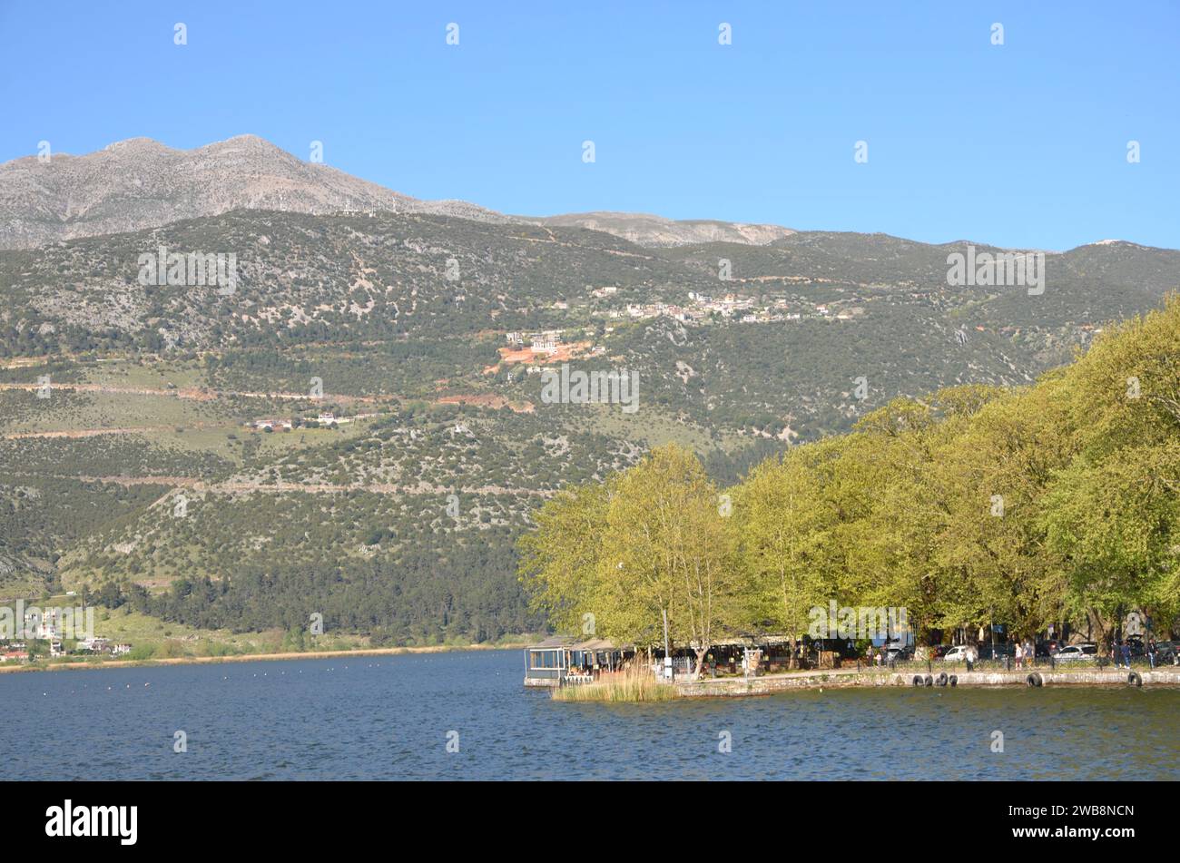 Grecia, nord-occidentale, regione dell'Epiro, città e castello di Ioannina, lago Pamvotida e l'isola Foto Stock
