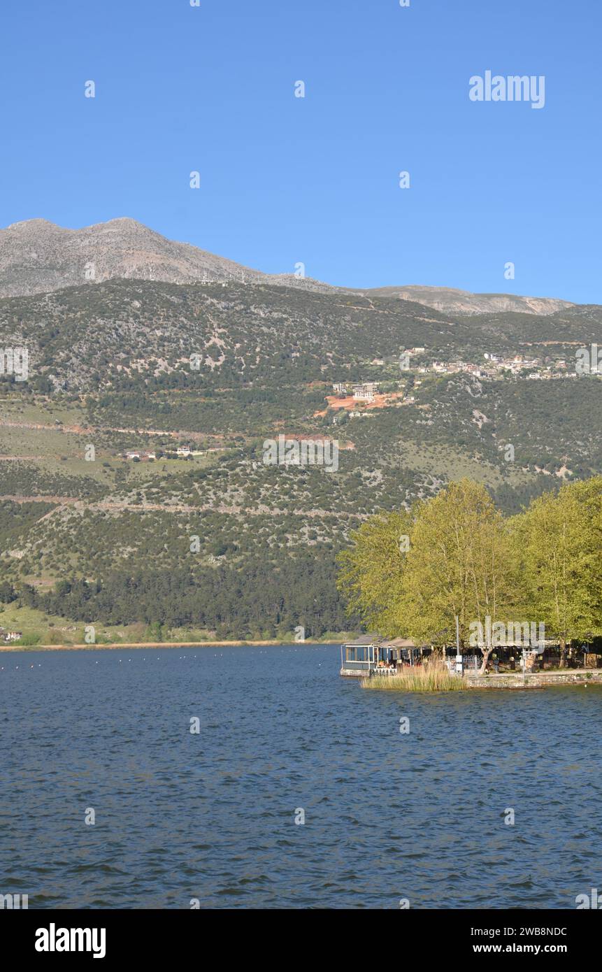 Grecia, nord-occidentale, regione dell'Epiro, città e castello di Ioannina, lago Pamvotida e l'isola Foto Stock