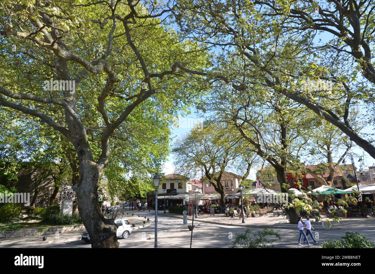 Grecia, nord-occidentale, regione dell'Epiro, città e castello di Ioannina, lago Pamvotida e l'isola Foto Stock