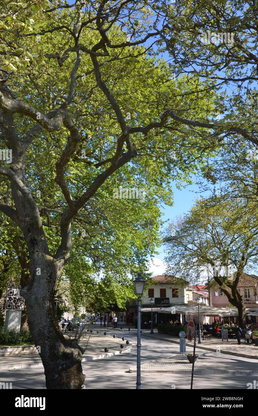 Grecia, nord-occidentale, regione dell'Epiro, città e castello di Ioannina, lago Pamvotida e l'isola Foto Stock