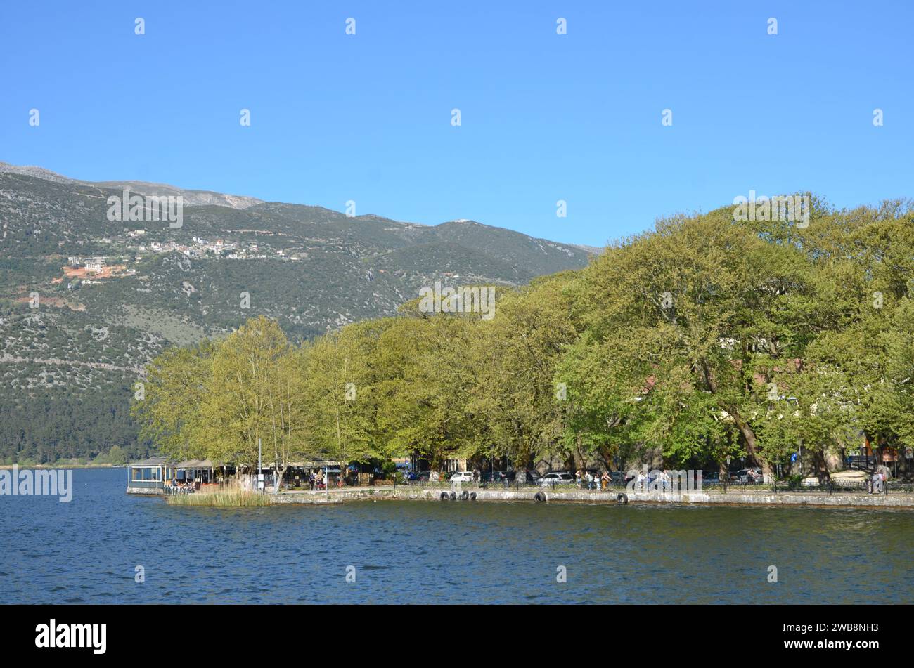 Grecia, nord-occidentale, regione dell'Epiro, città e castello di Ioannina, lago Pamvotida e l'isola Foto Stock
