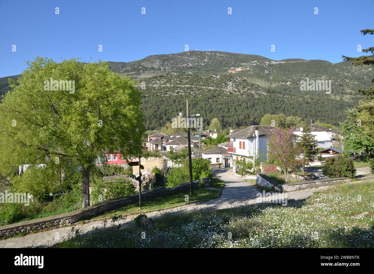 Grecia, nord-occidentale, regione dell'Epiro, città e castello di Ioannina, lago Pamvotida e l'isola Foto Stock