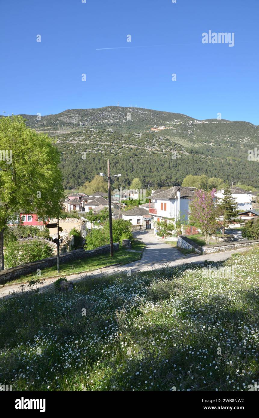 Grecia, nord-occidentale, regione dell'Epiro, città e castello di Ioannina, lago Pamvotida e l'isola Foto Stock