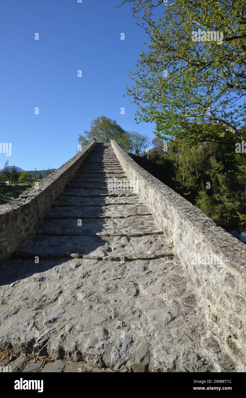 Grecia, nord-occidentale, regione dell'Epiro, monumento Ioannina Kalpaki, villaggio Zagoria Papigko e ponte ad arco di pietra Konitsa Foto Stock