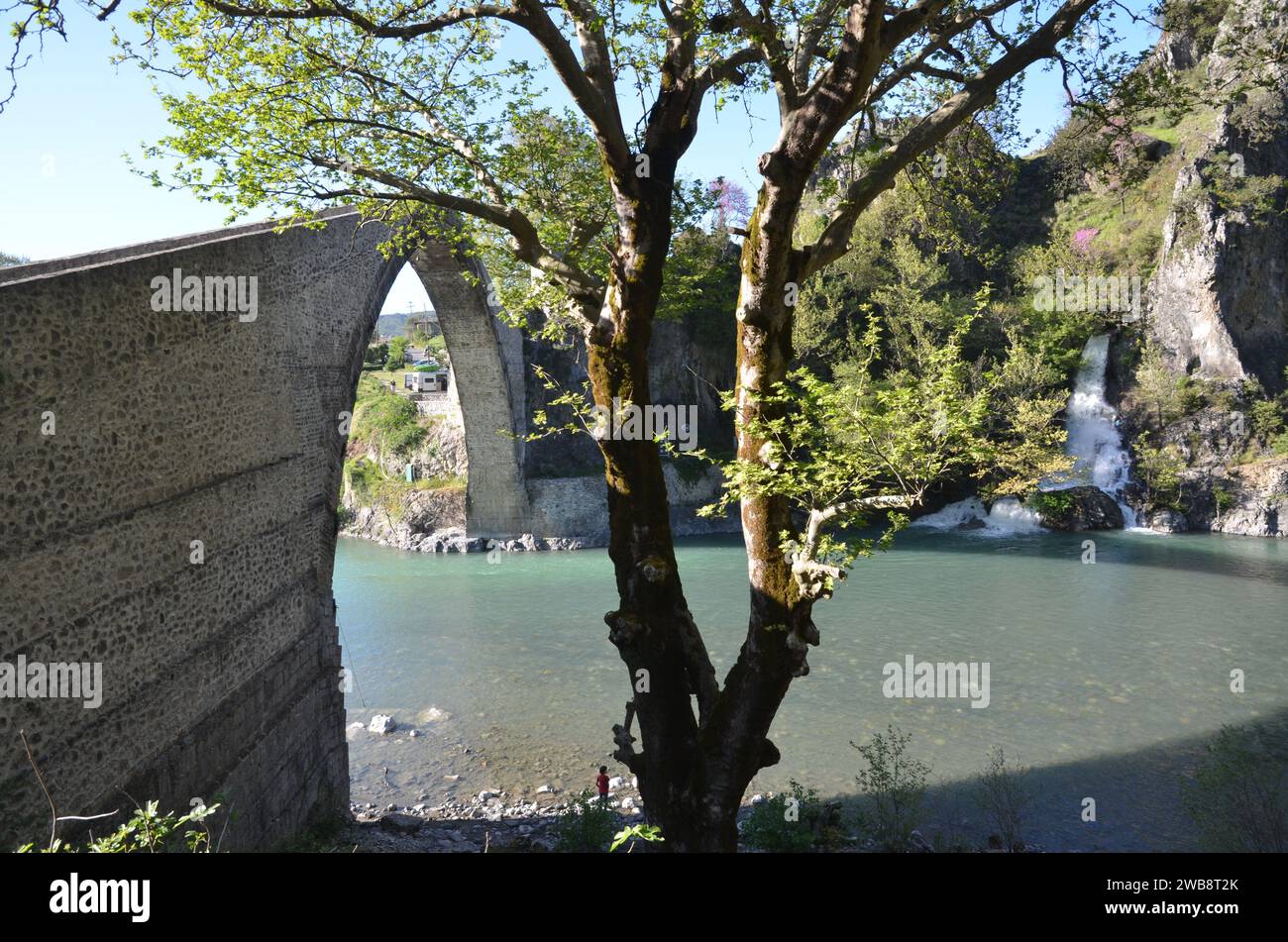 Grecia, nord-occidentale, regione dell'Epiro, monumento Ioannina Kalpaki, villaggio Zagoria Papigko e ponte ad arco di pietra Konitsa Foto Stock