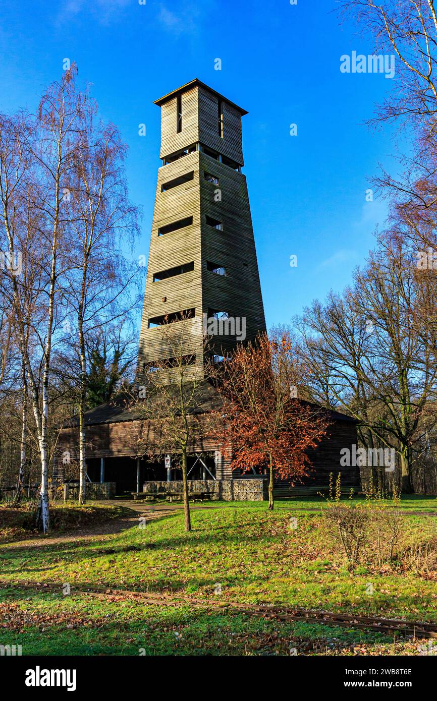 Alta torre di osservazione circondata da alberi nudi all'ingresso del Parco Nazionale Hoge Kempen sullo sfondo del cielo blu, soleggiata giornata autunnale a AS, Limbu Foto Stock
