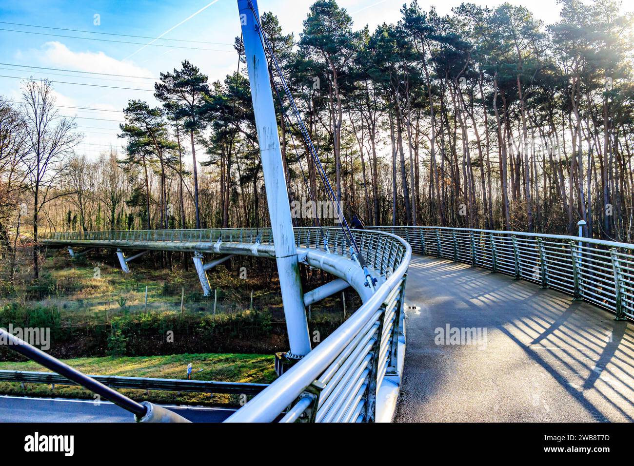 Ponte pedonale e in bicicletta sull'autostrada verso il parco nazionale Hoge Kempen, pini e alberi nudi sullo sfondo soleggiato giorno autunnale di AS Limburg, Belgi Foto Stock