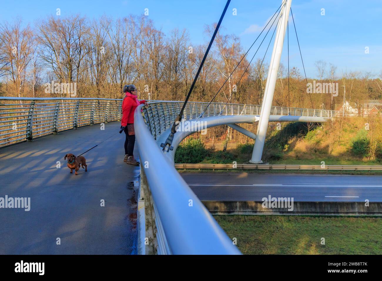 Donna in piedi con il suo cane su un ponte strallato per biciclette e pedoni, guardando verso l'autostrada, alberi nudi sullo sfondo a Hoge Kempen nati Foto Stock