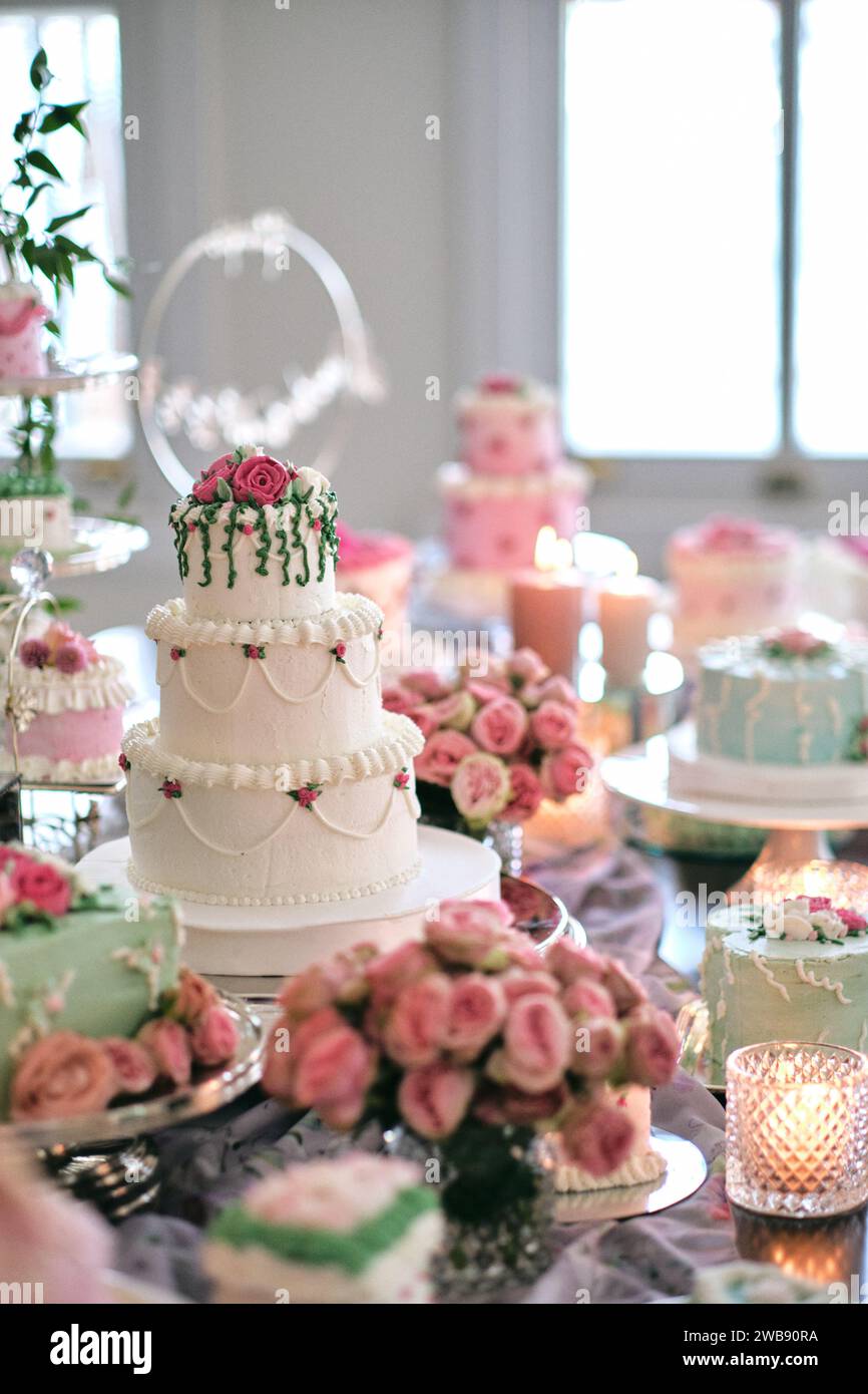 Elegante torta nuziale bianca decorata con fiori rosa su un tavolo da dessert durante una receptione di matrimonio. Foto Stock