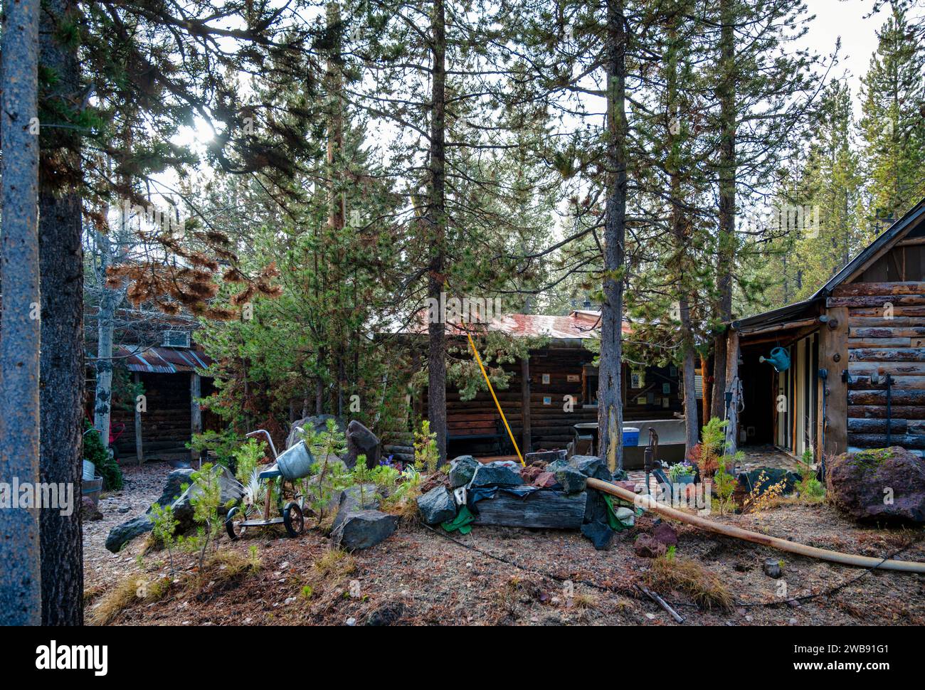 Una rustica capanna di legno nel bosco. High Desert, Oregon, Stati Uniti Foto Stock