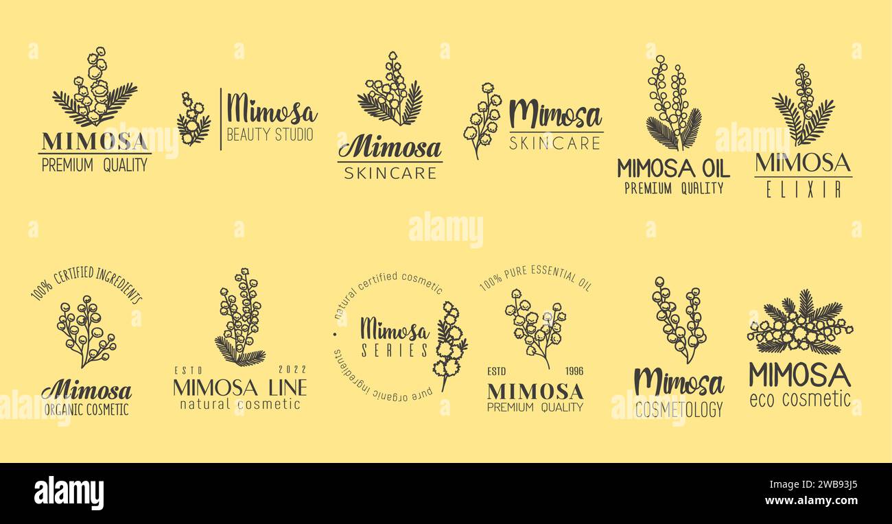 Fiore Mimosa emblema minimale, cosmetici naturali per la cura della pelle ed estratto abbracciano la bellezza della natura. Le etichette vettoriali per il marchio cosmetico simboleggiano purezza e grazia attraverso fiori e caratteri semplici ma eleganti Illustrazione Vettoriale