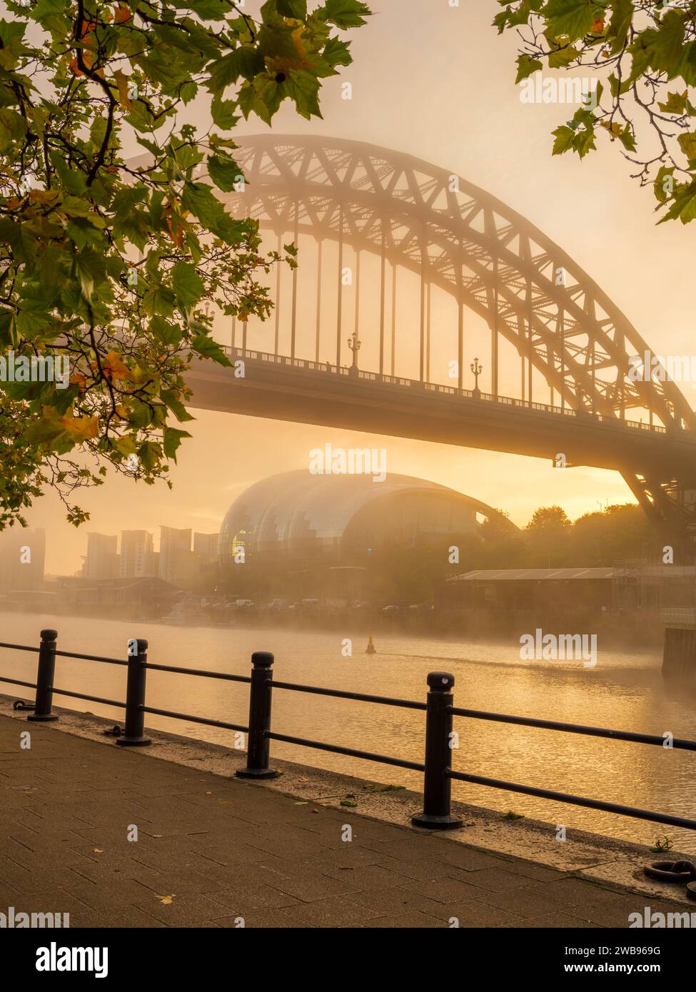 Golden Misty Sunrsie al Tyne Bridge e al centro Sage incorniciati da ringhiere e alberi in formato ritratto Foto Stock