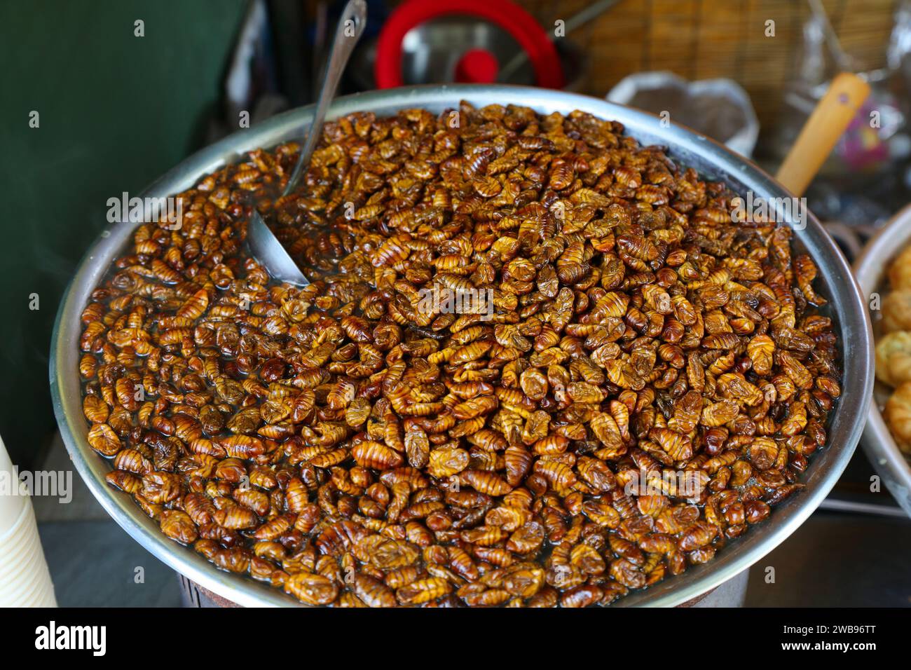 Pupa di bachi da seta - snack Street food a Busan, Corea del Sud. Insetti come cibo. Foto Stock