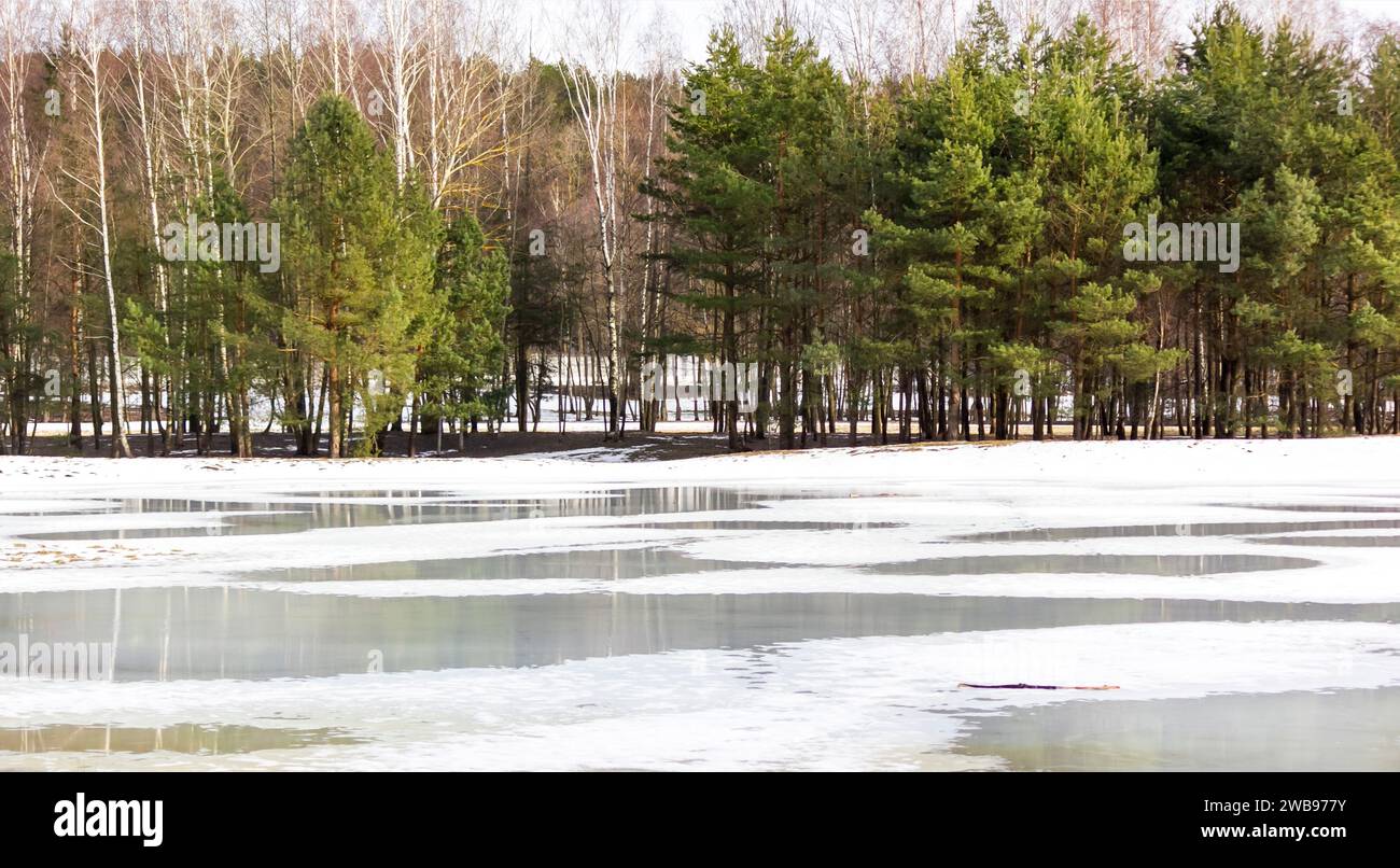 Paesaggio primaverile con neve che scioglie e macchie scongelate nel lago sullo sfondo di una foresta. La primavera si avvicina, il mese di marzo. N Foto Stock