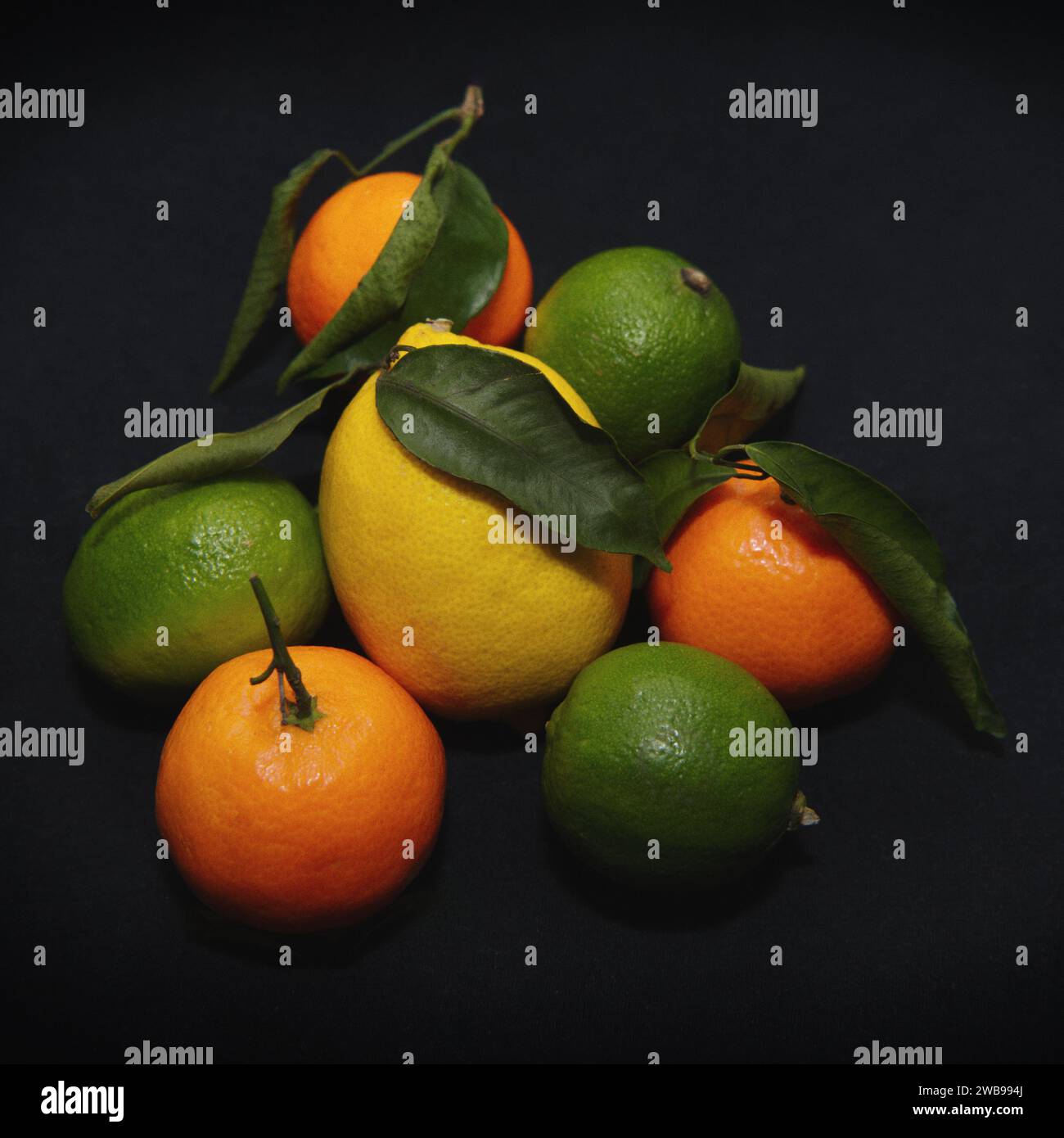 Tre arance, tre limes e un limone con foglie su sfondo scuro primo piano Foto Stock