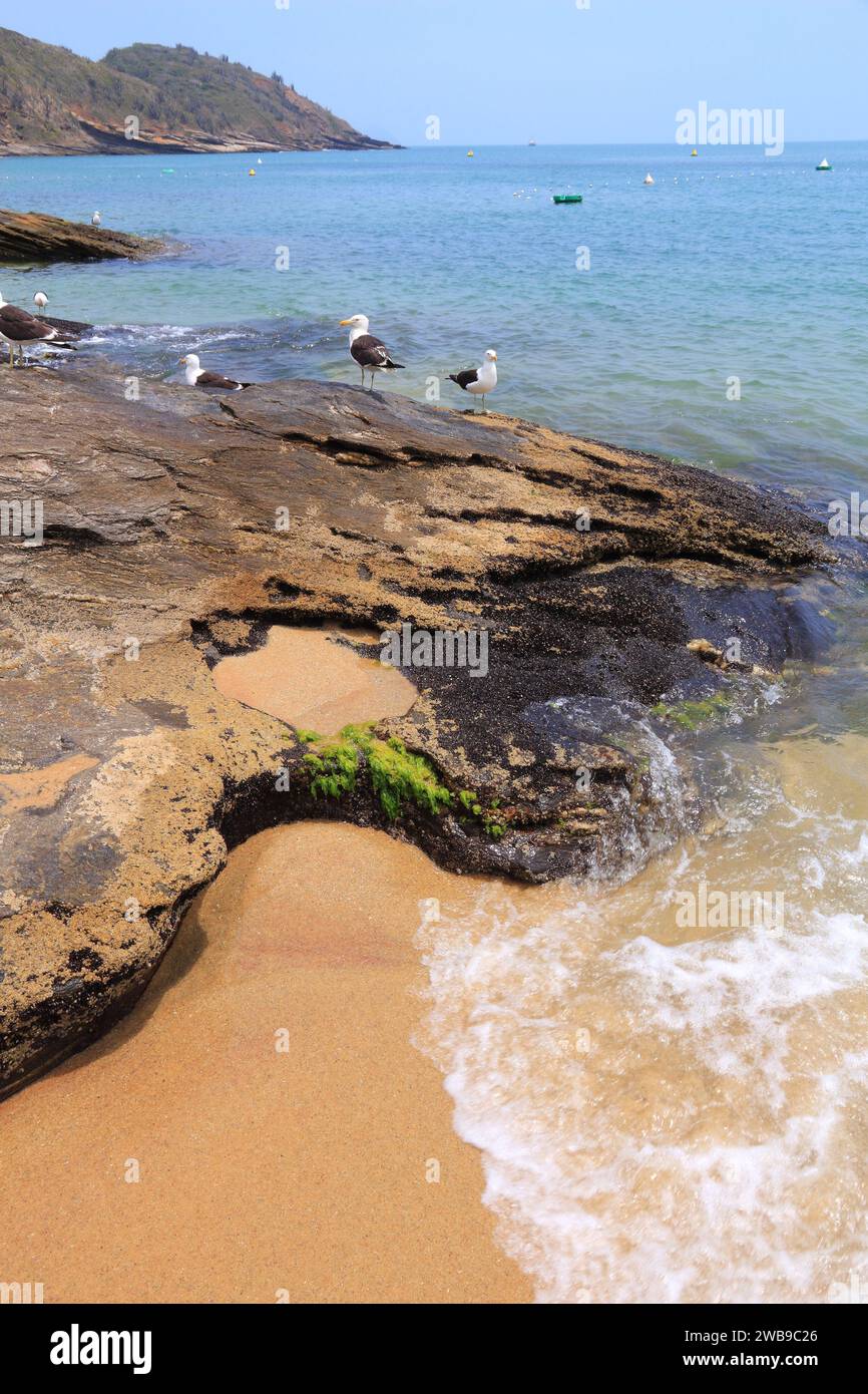 Spiaggia brasiliano - Joao Fernando Spiaggia di Buzios (nello stato di Rio de Janeiro). Foto Stock