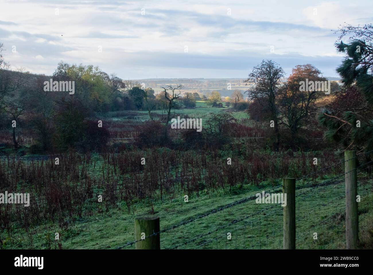 Witton Valley in autunno all'alba Foto Stock