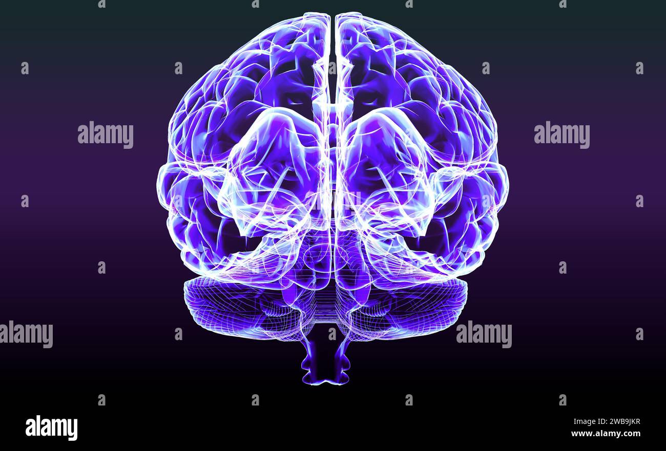 Sezione di un cervello vista in profilo, parti del cervello. Malattie degenerative, Parkinson, sinapsi, neuroni, Alzheimer Anatomia umana, scansione cerebrale Foto Stock