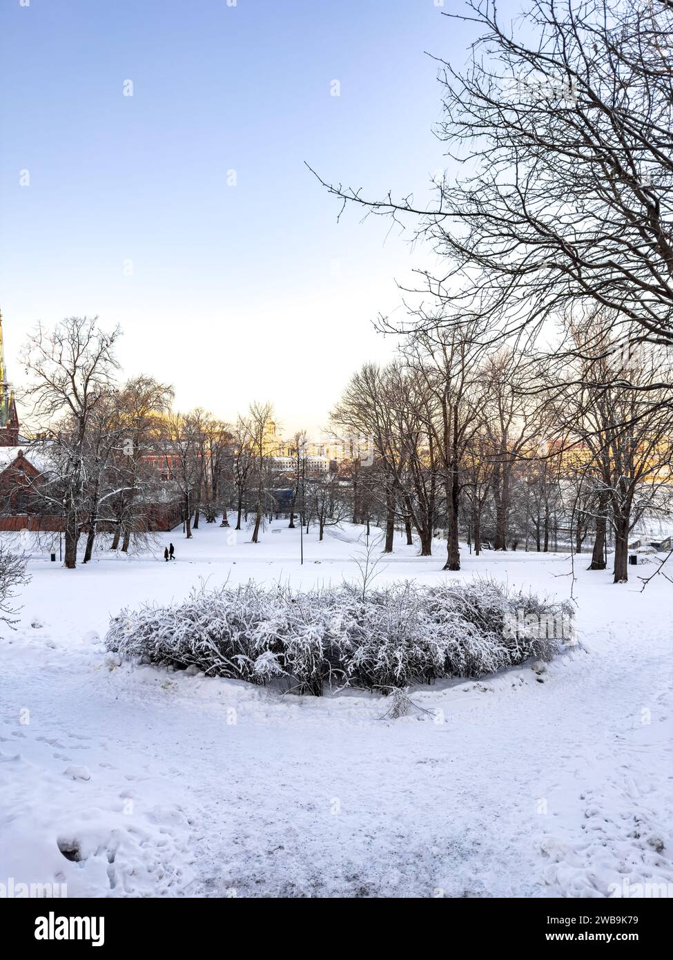 Una vista panoramica del parco innevato e degli alberi di Helsinki, Finlandia Foto Stock