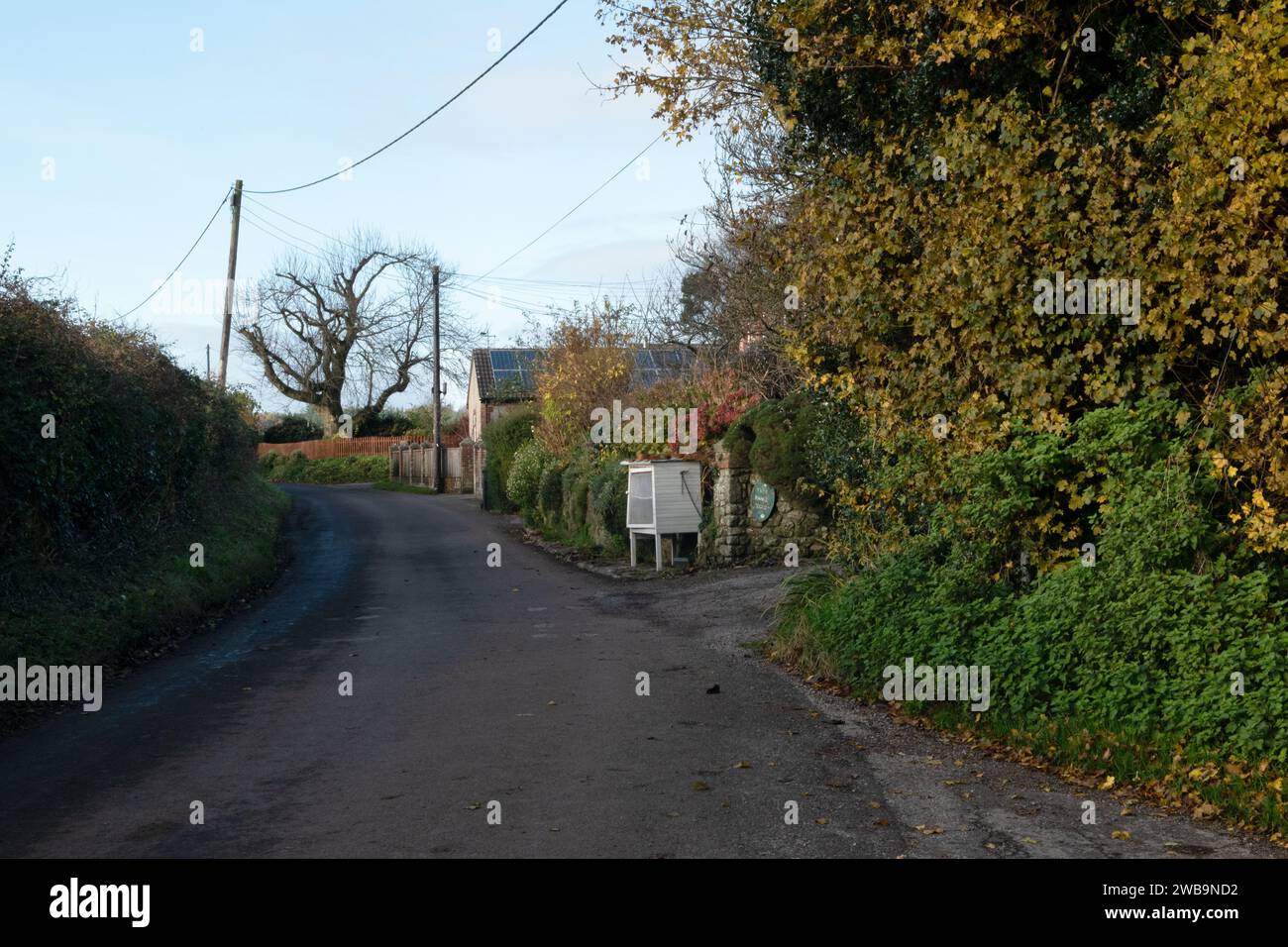 Scena rurale a Chapel Lane, Zeals, Wiltshire, Inghilterra Foto Stock