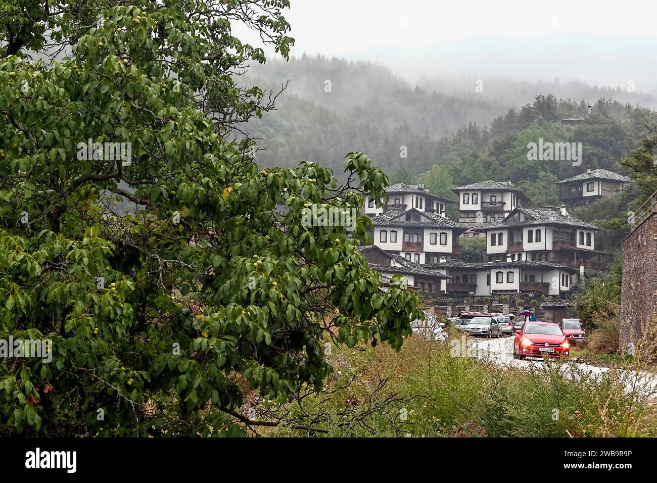 Tipiche case rurali nei Monti Rodopi.Bulgaria.Europa Foto Stock