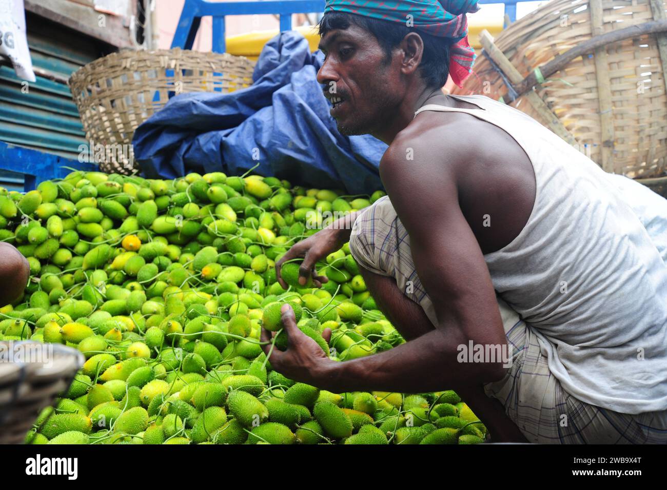 Verdure di zucca fresche e verdi, pronte per la vendita sul mercato. Foto Stock