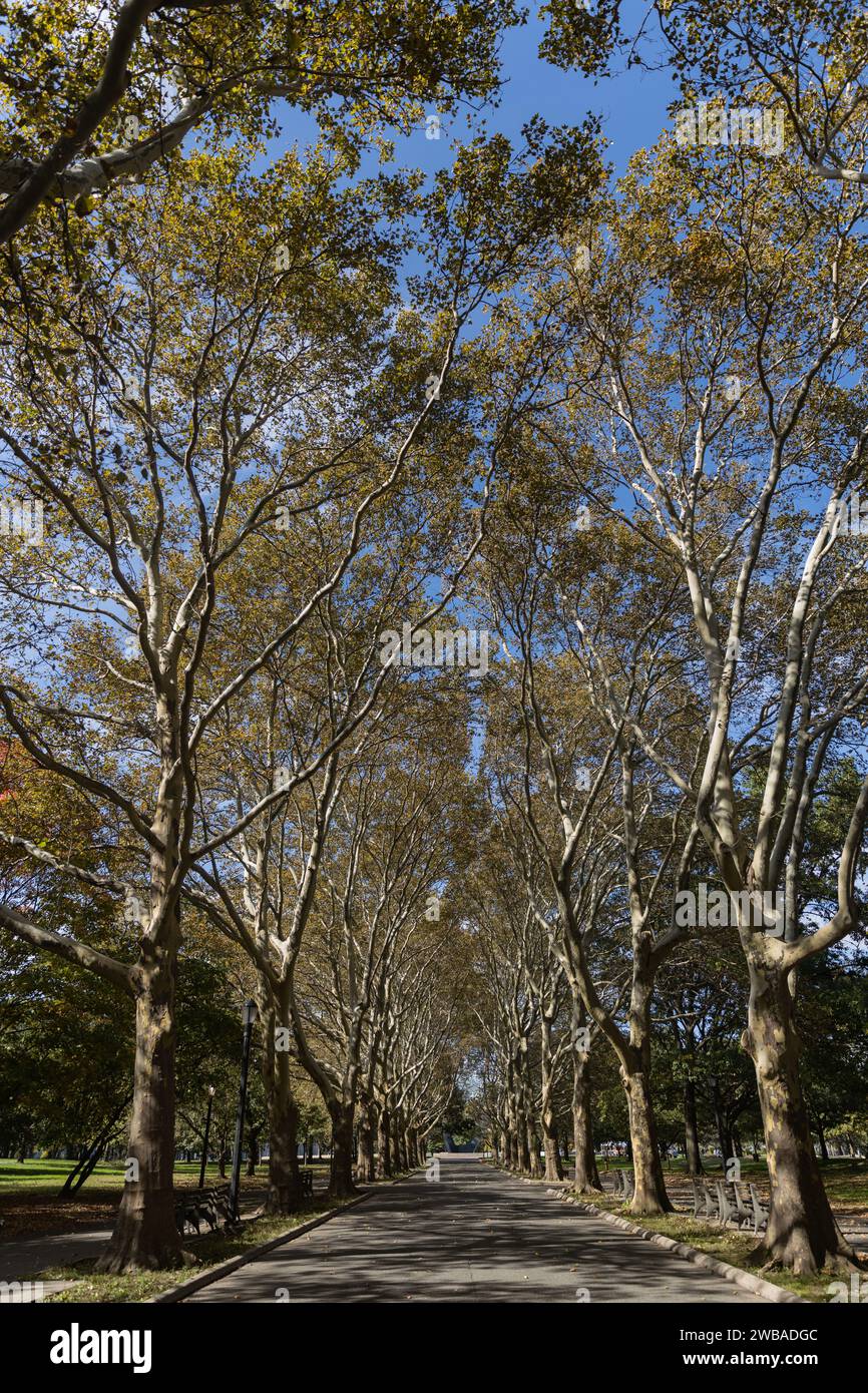 New York, Queens, Arthur Ashe Stadium Park Foto Stock