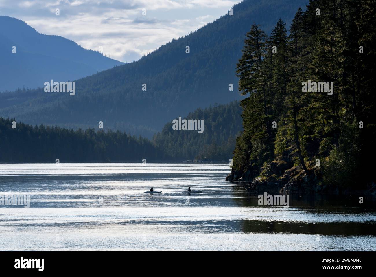 Un paio di persone anziane in kayak pagaiano sull'acqua calma passando davanti alle montagne e alla foresta vicino all'Isola di Vancouver, British Columbia, Canada Foto Stock