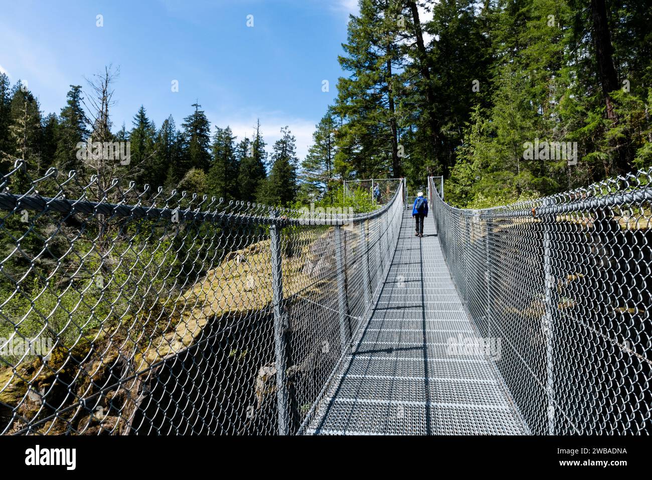 Una donna attraversa un ponte sospeso nella foresta di Elk Falls Park vicino a Campbell River, British Columbia, Canada Foto Stock