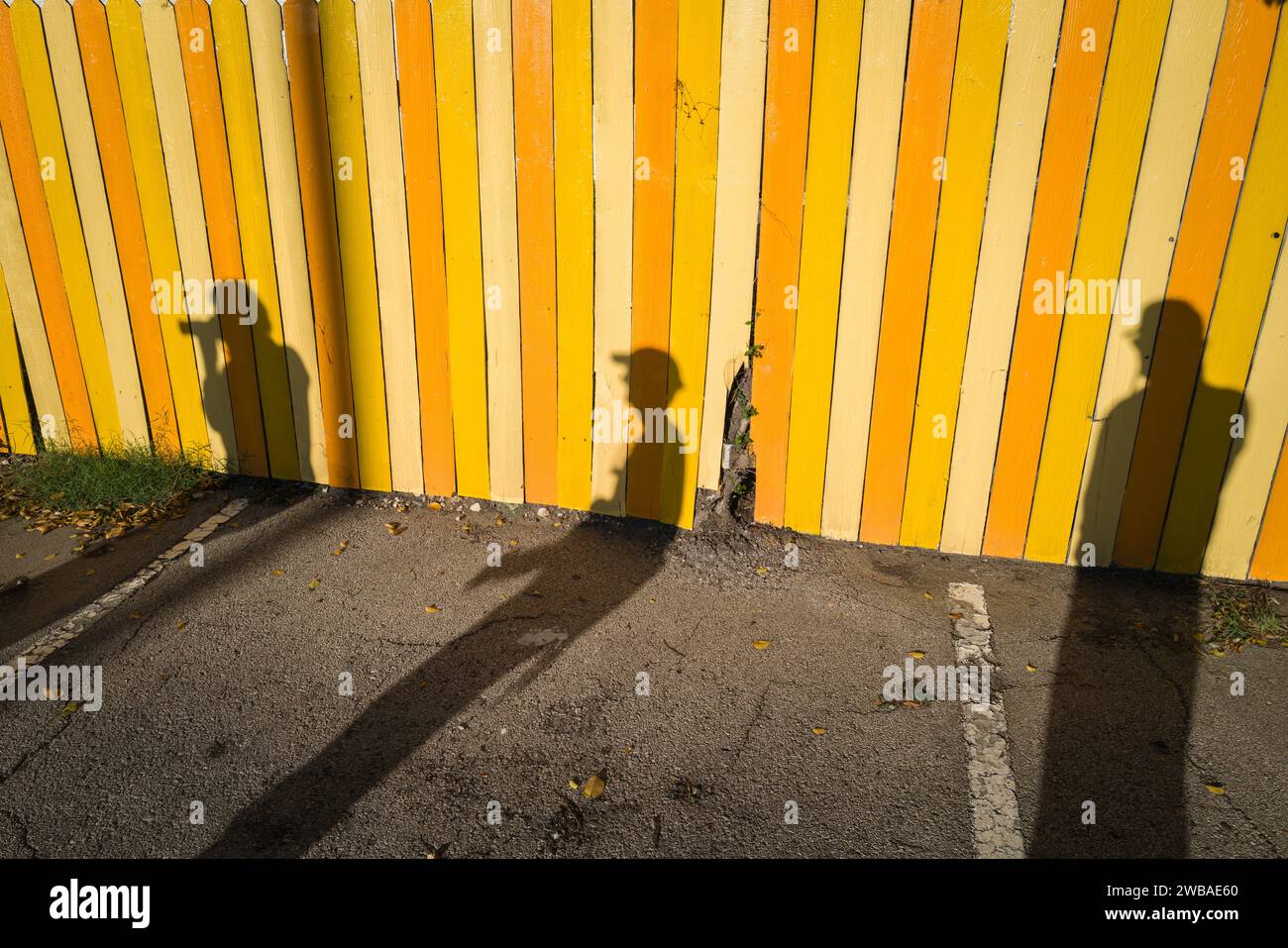 Ombra di tre fotografi sulla recinzione gialla ad Austin, Texas Foto Stock